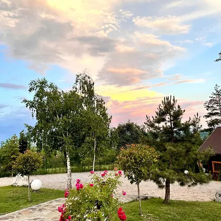 Complex Turistic Creanga & Tatil parkı 3*